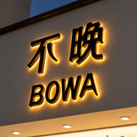 Enseigne lumineuse LED personnalisée en lettres 3D métalliques et acryliques pour intérieur et extérieur, idéale pour entreprises et magasins