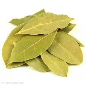 Feuilles de Laurier de Qualité Supérieure, Naturelles, Fraîches et Entières pour la Cuisine, la Transformation Alimentaire et la Vente en Gros d'Ingrédients Épicés - Product Image 4