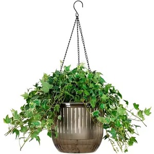 Modern Minimalist Metal Wall Hanging Planter with Gold Pots for Indoor Green <b>Plants</b> Elliptical Design Powder Coated Finish - Product Image 3