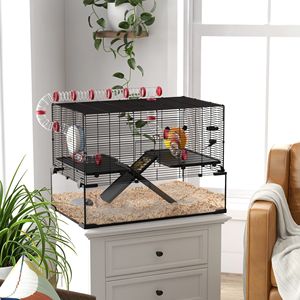 Gabbia per criceti con fondo in vetro profondo 31 pollici, con tubo e tunnel - Prodotto per abbigliamento femminile - Product Image 2