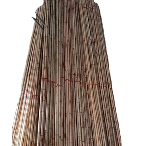 Poteaux en bambou naturel du Vietnam pour la construction, les échafaudages, la fabrication de meubles, la décoration de jardin et les structures extérieures. - Product Image 1