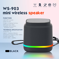 WS-903 Enceinte Audio Portable Sans Fil Mini avec Lumières LED RGB, Subwoofer à Basses Puissantes, Son Acoustique Clair pour Extérieur, Jardin et Camping