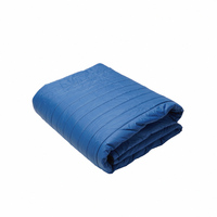 Couette Chauffante Électrique 110V 190x160cm Douce et Chaude en Plumes de Canard pour Lit Double, Idéale pour l'Hiver et la Chambre à Coucher
