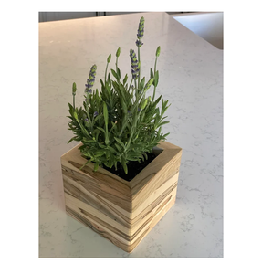 Eco-Friendly Wood <b>Planter</b> Pot Wholesale Supplier Indoor Desktop Plant Container Minimalist <b>Small</b> Flower Pot for Green <b>Planter</b> - Product Image 3