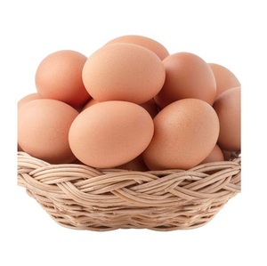 ไข่ไก่คุณภาพสูง ไข่ขาวสด สำหรับบริโภคและขายปลีก - Product Image 5