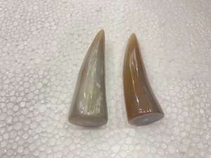 Compra al por mayor de puntas de cuerno de búfalo ecológicas, hechas a mano, de tamaño personalizado, para decoraciones de bodas y festividades. - Product Image 3