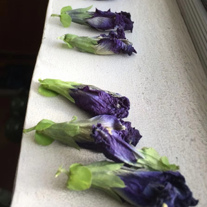 Fleurs de pois papillon séchées vietnamiennes, ingrédient botanique bleu naturel de qualité supérieure, soigneusement sélectionné, produit d'exportation propre - Product Image 3