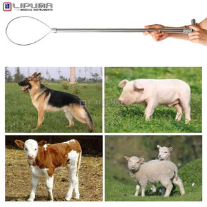 Herramienta Profesional Personalizada de Sujeción de Cerdos de Acero Inoxidable de 18 Pulgadas con Liberación Rápida para Granja, Instrumentos Quirúrgicos Veterinarios - Product Image 6