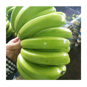 กล้วยเขียวคาวาเดนชิสดีที่สุด คุณภาพสูง 100% ราคาถูก ขายดี มีสินค้าจำนวนมาก จัดส่งรวดเร็ว - Product Image 1