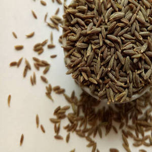 Nouvelle récolte de graines de cumin entières indiennes pour les marchés d'exportation, le commerce agricole en gros et l'ingrédient culinaire professionnel - Product Image 4