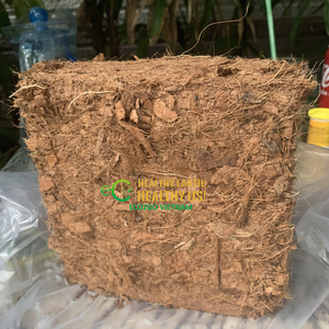 Cáscaras de Coco Lavadas de Bajo Contenido de CE al por Mayor para Cultivo de Orquídeas, Plantas Tropicales, Invernaderos y Cultivadores Profesionales - Product Image 3