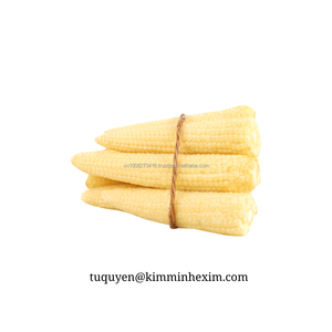 Maïs bébé surgelé IQF de qualité supérieure, entier et en tranches, emballé sous vide, 10 kg, export en vrac du Vietnam, fournisseur d'ingrédients alimentaires B2B - Product Image 4