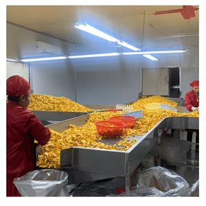 Jackfruit séché, conditionné en sachets de 100 grammes, issu de tranches de jackfruit naturelles, idéal pour les collations, les garnitures de desserts et les marchés de détail. - Product Image 4