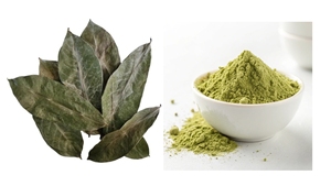 ใบฝรั่งแห้งคุณภาพสูงสำหรับชาสมุนไพรลดน้ำหนักบริสุทธิ์ 100% ส่งออกจากเวียดนามพร้อมราคาที่แข่งขันได้ บริการ OEM - Product Image 6