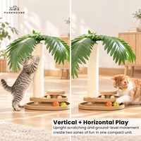 Grattoir pour chat 2-en-1 en cocotier avec piste à billes en bois à double couche