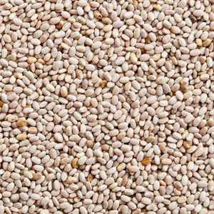 Semillas de Chía Blancas Enteras 100% Puras, Superalimento Natural a Base de Plantas, Ingrediente de Grado Alimenticio Premium para Smoothies, Jugos y Batidos - Product Image 4