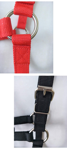 Accessoires complets pour chevaux : bride, corde, licou, pour petits et grands poneys, en nylon, fournitures équestres, style selle western - Product Image 5