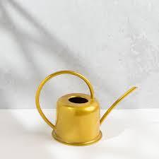 Arrosoir en fer avec revêtement en poudre pour plantes, avec long bec, durable, résistant à la rouille, arrosoir de jardin - Product Image 5