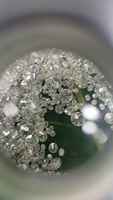Pierre de diamant naturel non montée, couleur SI FGH, clarté VS, taille brillant excellente, percée au laser, certifiée IGI, diamant mélaux luxueux