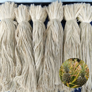 Competitive Price Vietnam Factory International Standard Hot Sale Long <b>Pineapple</b> Leaf Fiber Packed in 2 kg Bag - Product Image 1