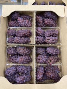 Uvas Frescas con Semillas de Excelente Calidad, Gran Variedad, en Tonos Verde, Negro y Rojo - Product Image 2