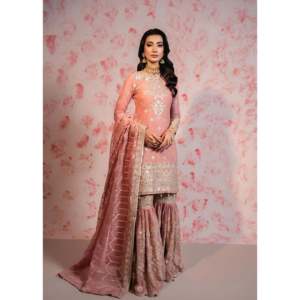 Magnifique robe de soirée, haut-plazzo et dupatta - Product Image 3