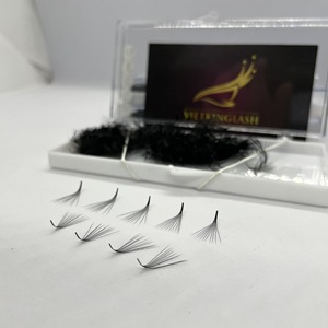 High Quality Mega Volume Handmade Promade <b>Lash</b> Fans 10D M Curl Ultra Soft Pointy Base Korean PBT Russian Volume <b>Lash</b> Extensions - Product Image 3