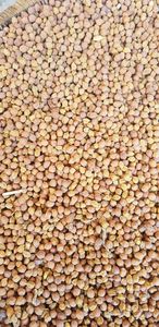 ถั่วชิกพีดิบธรรมชาติ เกรดดี ราคาถูก ขายส่ง ขนาด 9 มม. ยี่ห้อ CREKS บรรจุภัณฑ์แบบขายส่ง อายุการเก็บรักษา 3 ปี - Product Image 3