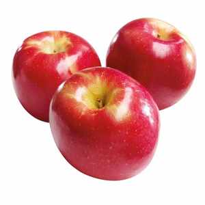 Pommes rouges Fuji fraîches de la ferme, de qualité supérieure, avec un aspect attrayant et un potentiel commercial supérieur pour l'exportation - Product Image 2