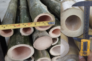 Poteaux en bambou fendus organiques en gros pour l'usage extérieur et agricole durable-LOTUS BLEU du Vietnam - Product Image 6