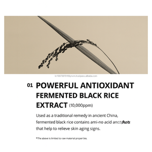 Soin de la peau coréen OEM Vegan Black Rice Tocopherol Lift Glow Skin Milky Booster Serum Essence - Product Image 3