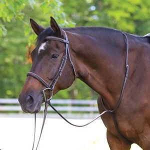 Horse Racing Bridle DD <b>Harness</b> Equestrian <b>Leather</b> S.S Hardware Soft <b>Leather</b> Padding Customizable Halters - Product Image 5