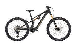 ข้อเสนอพิเศษ Orbea WILD M-LTD 20mph - Product Image 4