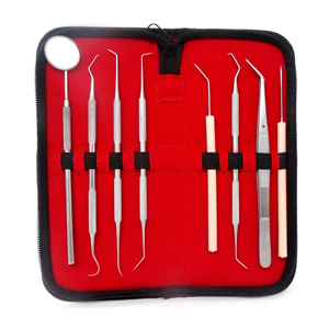 Kit d'examen dentaire manuel en acier inoxydable de qualité supérieure, 8 pièces, certifié CE, réutilisable, Classe I A+, pour ponts osseux - Vente chaude - Product Image 1