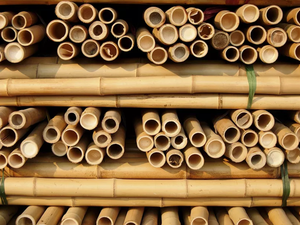 Poteaux en bambou fendus organiques en gros pour l'usage extérieur et agricole durable-LOTUS BLEU du Vietnam - Product Image 2