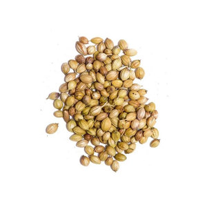 Graines de coriandre de haute qualité, 100% pures, épices, herbes et condiments en gros, graines de coriandre séchées, graines de coriandre en vrac, prix de gros - Product Image 1