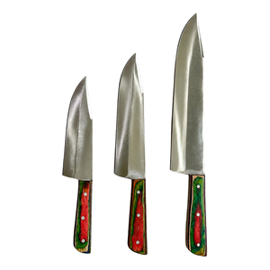 Juego de 3 Cuchillos de Cocina de Acero Inoxidable, Hojas Plateadas, Mangos de Madera Multicolor Rojo y Verde, Herramientas Profesionales para Cortar Carne - Product Image 1