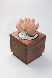 Juego de Soportes para Plantas de Madera Mini, Modernos, Minimalistas, Hechos a Mano, Calidad Premium, Precio de Fábrica al por Mayor - Product Image 3
