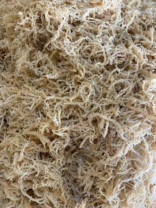Algas Marinas Secas Eucheuma Cottonii de Alta Calidad al por Mayor / Musgo Marino de Vietnam / Sra. Lima - Product Image 1