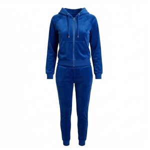 Women Blue <b>Velour</b> Hooded <b>Tracksuit</b> Set Full Sleeve Zipper Front Casual Joggers Solid Color Autumn Wear - Product Image 1