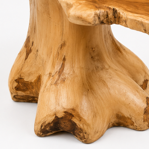 Table basse ARTERRA de luxe moderne en racine de teck de forme irrégulière, table d'appoint en bois de récupération organique pour salon et hall d'hôtel - Product Image 4