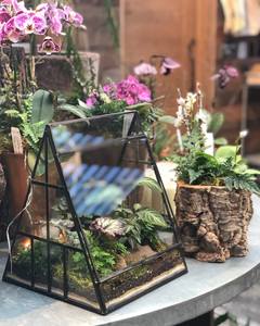 Customized Designer Metal And Glass Terrarium Modern Glass Planter for Indoor Plants, Succulents, Air Plants & DIY Terrarium - Product Image 2