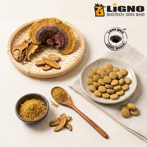 Sang Huang LiGNO SH02 Polvo de Hongo Crudo, Suplemento Dietético Nutracéutico, Material Activo Certificado Halal Kosher, OEM ODM - Product Image 1