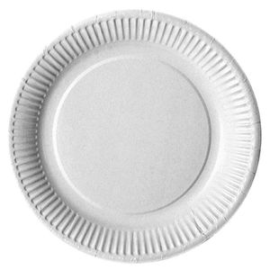 Elegant Ivory White Compostable Biodegradable Paper Plates for Formal Weddings Parties Anniversaries - Product Image 3