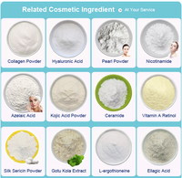Vente en gros d'ingrédients cosmétiques blanchissants en vrac CAS 98-92-0 Vitamine B3 Niacinamide en poudre