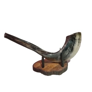 100% Natural Ecológico Oveja Ram Cuerno Shofar Pulido Animal Estilo - Product Image 3