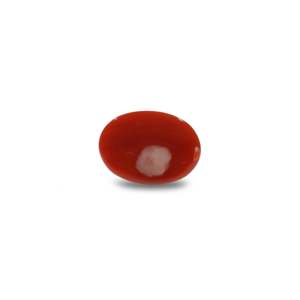Loose Gemstone Natural Japanese Red Coral 4.8 Carat Certified Wholesale - Product Image 2