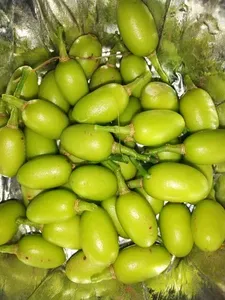 Graines de Neem de qualité alimentaire naturelle pour usage industriel dans les compléments alimentaires et la production d'huile - Product Image 4