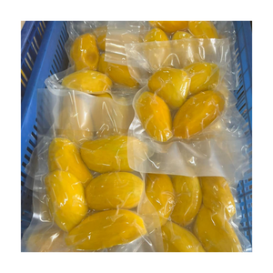 Mango Congelado IQF de Grado Exportación de Vietnam, Cubos Amarillos Brillantes para Smoothies, Jugos y Producción de Yogur Congelado - Product Image 5