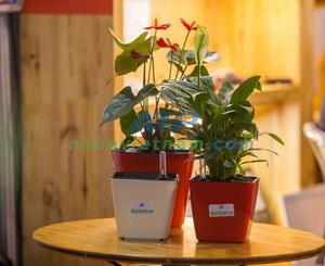 Venta al por mayor de fábrica, macetas de cultivo de vivero de plástico duraderas para invernadero, maceta cuadrada corta 13 - Product Image 1